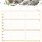 Kalender mit Wochentagen und Namen. Illustration: Drei Koalas, einer mit Schmetterling auf dem Kopf.