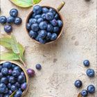 Text: "Juli". Blätter und viele Blaubeeren in kleinen Schüsseln auf hellbrauner Oberfläche verteilt.