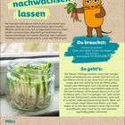 Gemüse nachwachsen lassen. Du brauchst: frische Gemüsereste, Gläser mit Wasser, Zahnstocher, Blumentöpfe. So geht's. Kalender: März.