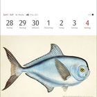 Kalender von Juni/Juli, Woche 26. Illustration einer Brachsenmakrele unten.