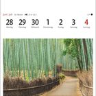 Juni | Juli, Wochentage 28-4, Bambuswald in Arashiyama, Kyoto; grüner Wald mit Weg in der Mitte.