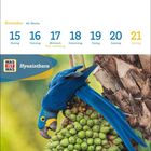 November, 46. Woche, 15 bis 21 November. WAS IST WAS Logo. Hyazinthara sitzt kopfüber auf grünen Früchten an einem Baum.