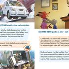 Links oben: "Ein SCHLECHTES TEAM handelt, ohne nachzudenken."
Rechts oben: "Ein SUPER-TEAM glaubt an sich – auch wenn andere es nicht tun!"

Links: Zeichnung von zwei Tieren, die ein Chaos verursachen, rechts: Zwei Tiere im Gespräch mit ihrem Chef an einem Schreibtisch.