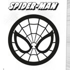 "SPIDER-MAN" in fetter Schrift. Ein stilisiertes Spinnenmaske-Logo mit Netzmustern und großen Augen in Schwarzweiß.