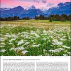 Alp Flix – Bewahrtes Paradies. März - April 2027. Almwiese mit Blumen vor einem Bergpanorama bei Sonnenaufgang.