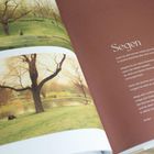 Rechts ist Text mit der Überschrift "Segen". Links zwei Fotos mit Bäumen und einem Park.