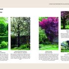 SCHÖNE SCHATTENSPENDER FÜR CHILLIGE ECKEN IM GARTEN. Beschreibungen von Bäumen: Kugel-Ahorn, Blüten-Kirsche, Fächer-Ahorn.