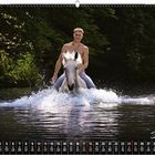 "07 Stallburschen" steht unten rechts. Ein Mann reitet auf einem weißen Pferd durch einen Fluss.