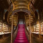 Keine Texte. Eine spiralförmige Treppe mit rotem Teppich, flankiert von Holzbüchern und geschwungenem Deckenbereich.