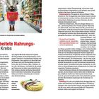 Text: Hochverarbeitete Nahrungsmittel und Krebs. Acrylamid und Transfette entstehen bei der industriellen Nahrungsmittelproduktion und wirken krebsfördernd.

Inhalt: Ein Supermarktgang mit einer Person, die einen roten Einkaufskorb hält, gefüllt mit diversen Produkten. Rechts ein Infokasten über Ernährung und Krebs.