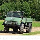 JULI, Unimog 406 U 84 Baujahr 1974. Ein grüner Unimog-Fahrzeug auf einem Feldweg, umgeben von Bäumen im Hintergrund.