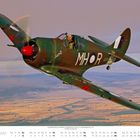 "MH*R, Suzy-Q, A46-122" auf grünem Militärflugzeug im Flug, Landschaft im Hintergrund. Monat Juli mit Kalendertagen unten.
