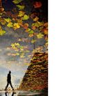 Nummer "33" unten rechts. Herbstblätter und ein reflektierter gehender Mensch in einer Pfütze.