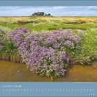 Juli 2027 Kalender, blühende violette Blumen in einer grünen Landschaft mit einem Haus im Hintergrund.