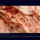 "10 Oktober" steht oben links. Wand zeigt rote und schwarze Handabdrücke. Kalenderdaten unten.