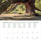 Kalender für September. Wochentage auf Englisch, Deutsch und anderen Sprachen. Großes Bild eines alten Baumes im Hintergrund.