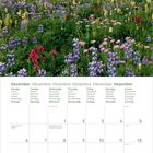 Kalenderseite Dezember in mehreren Sprachen. Eine Berglandschaft mit blühenden Wiesen und Wolken am Himmel im Hintergrund.