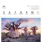 Juli, KW 27, Montag 5 bis Sonntag 11 hervorgehoben. Drei imposante Baobabs vor einem bunten Himmel in Madagaskar.