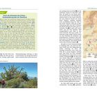 GPS-Wanderung 4: Durch die Schluchten des El Pinar – Rundwanderung über die Westküste. Am Wegesrand entdeckt.