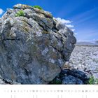 Die Karstlandschaft des Burren, County Clare. Ein großer Felsen auf steinigem Boden, dahinter ein einzelner Baum unter blauem Himmel.