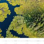 „Natur pur bei den Nation Lakes (British Columbia) – rau, weit und unberührt.“ Kalendertext „07“. Luftaufnahme eines Waldes und Sees.