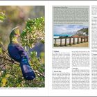 Outeniqua Choo-Tjoe: Vier Jahre, von 1924 bis 1928, dauerte der Bau. Stilbaai, Mossel Bay, Knysna Forest. Links Turako-Vogel.