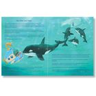 „Disco-Fieber unter Wasser.“ Mehrere Orcas umgeben ein kleines, gelbes U-Boot mit Kindern darin. Ozeanhintergrund in Blaugrün.