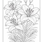 Illustration von Lilien mit drei großen Blüten, Knospen und Blättern, detailliert gezeichnet und schwarz-weiß.