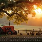 Kalendermonate und -tage unten. Ein roter Traktor unter einem großen Baum, umgeben von Hühnern im Sonnenuntergang.