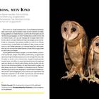 Seite 176: Text über Instinkte junger Tiere. Rechts stehen drei junge Schleiereulen vor einem schwarzen Hintergrund.