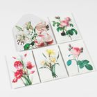Fünf Karten mit Blumenillustrationen, darunter Rosen, Lilien und Narzissen. Elegante, zarte Zeichnungen mit lebendigen Farben.