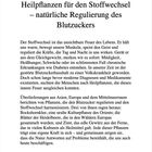 "14 Heilpflanzen für den Stoffwechsel – natürliche Regulierung des Blutzuckers. Pflanzen mit blutzuckersenkender Wirkung."