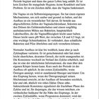 Ein informativer Text beschreibt vaginale Gesundheit, Selbstreinigung, pH-Wert, Ausflussarten und Zyklusveränderungen.