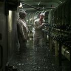 Zwei Personen in heller Schutzkleidung stehen knietief in Wasser und arbeiten an großen Rohrleitungen in einem düsteren Raum.