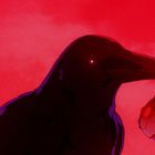 Illustration: Ein schwarzer Rabe hält ein menschliches Auge im Schnabel, vor einem roten Himmel.