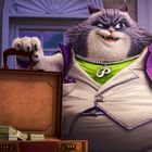 Eine Illustration zeigt eine große, graue Katze in lila Anzug, die Geldbündel und einen Aktenkoffer hält.