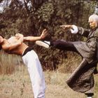 Zwei Männer kämpfen im Freien, der eine tritt, der andere weicht aus, umgeben von Bäumen und Gras.