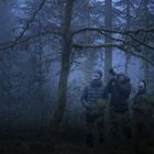 Drei Personen stehen in einem nebligen Wald, schauen nach oben, eine fotografiert mit einer Kamera.
