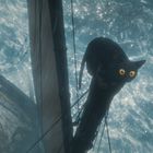 Eine kleine Segelyacht auf bewegtem Wasser. Eine schwarze Katze mit großen gelben Augen sitzt auf einem Mast.