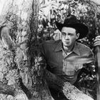 Ein Mann in kariertem Hemd und Cowboyhut steht in einem Baum. Er hält ein Gewehr und schaut in die Ferne.