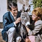 Ein Mann und eine Frau knien neben einem kleinen Esel und streicheln ihn. Sie sind in einem Hof, umgeben von Natur.