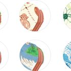 Sechs Kreise mit verschiedenen Mustern: Pflanzen, Figuren und Blumen in bunten Farben. Jede Szene ist künstlerisch illustriert.