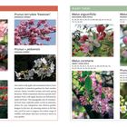 Links oben: Malus sylvestris, daneben Prunus serrulata 'Kwanzan'. Rechts oben: Plant these: Malus angustifolia, Malus ioensis.