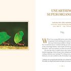 "Unearthing Superorganisms. Leafcutter Ants (Atta cephalotes). Location: Forest in the Peruvian Amazon. Date: April 15. Time: 7:22 a.m." 

Links Ameisen mit Blättern, rechts Text über Kindheit und Ameisen.