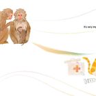 "All animals need regular care and maintenance in order to grow and thrive. It's very important to treat an animal well." Eine Illustration zeigt verschiedene Tiere, darunter ein Affe mit ihrem Kind, ein schwimmender Otter und ein Kind, das eine Katze pflegt.