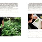 Texte: "Drawing outside with a nearby plant...", "Sometimes I collect a part of the plant to draw...", Seitenzahlen: 160, 161.  
Links schreibt jemand im Freien mit Notizbuch neben Pflanzen, rechts jemand malt einen Farn.