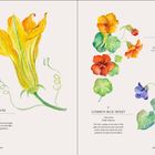 Links: "Squash Blossom", Cucurbita pepo. Illustration: gelbe Blüte mit grünen Blättern.  
Rechts: "Nasturtium", bunte Blumen.