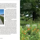 Texte links: 
"Lawn management... knee level."

Bildbeschreibung: 
Links ein Gehweg neben einem Rasen. Rechts eine Wiese mit Blumen und einer Steinsäule im Hintergrund.