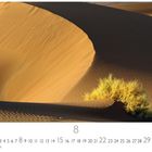Kalenderblatt mit Zahlen 1 bis 31, hervorgehoben die 8, 15, 22, 29. Wüstenlandschaft mit Sanddünen und einem kleinen Busch.