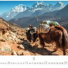 Text: „Yaks im Himalaya“ und „8“. Zwei Yaks tragen Lasten auf einem felsigen Pfad in einer Berglandschaft.
